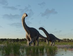 Oldest Tadpole Fossil Ever Discovered Unearthed by Scientists in Argentina