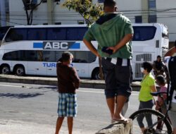 Over 30 Killed in Brazil Bus and Truck Collision