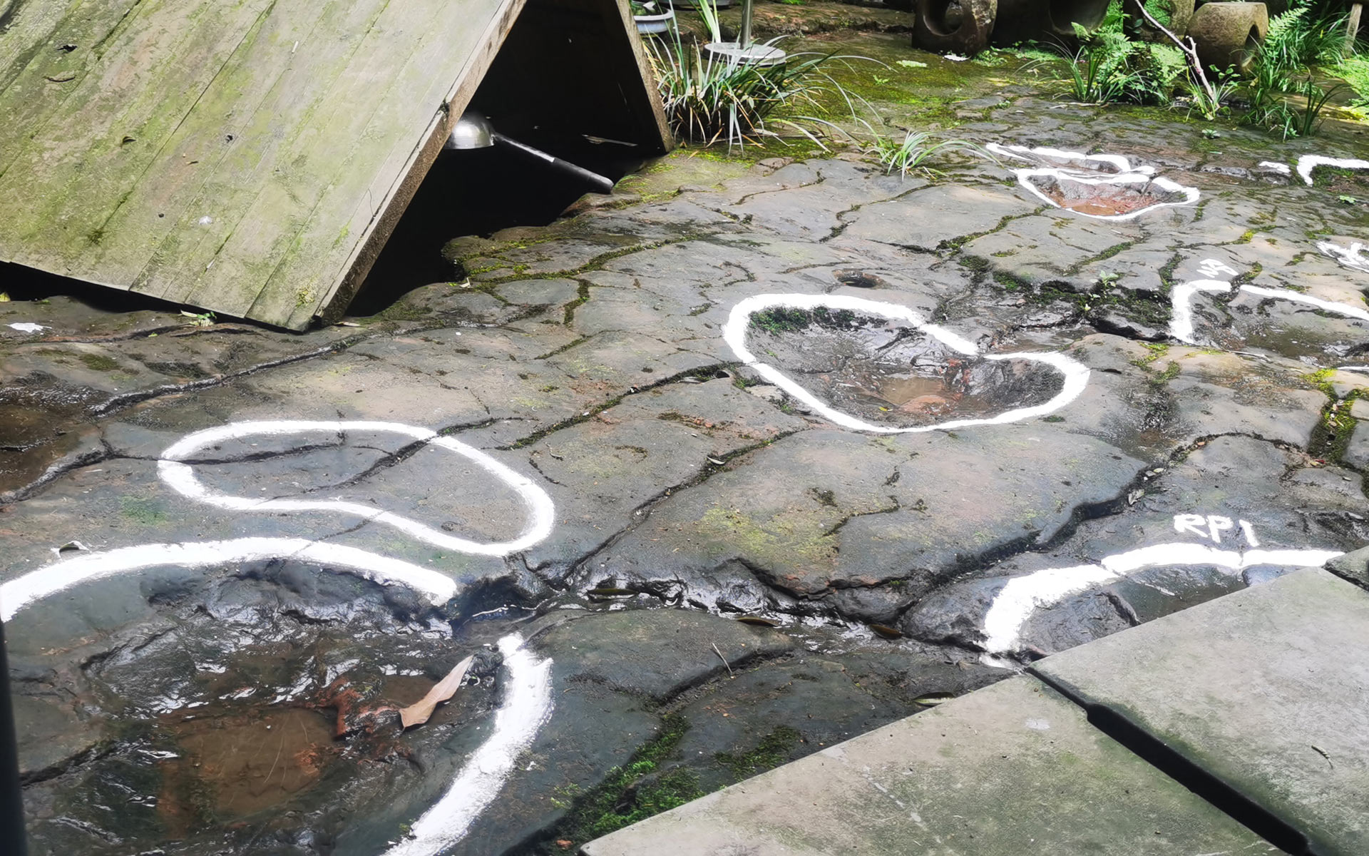 166 million year old dinosaur highway footprints unearthed in england 1