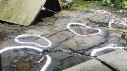 "166-Million-Year-Old 'Dinosaur Highway' Footprints Unearthed in England"