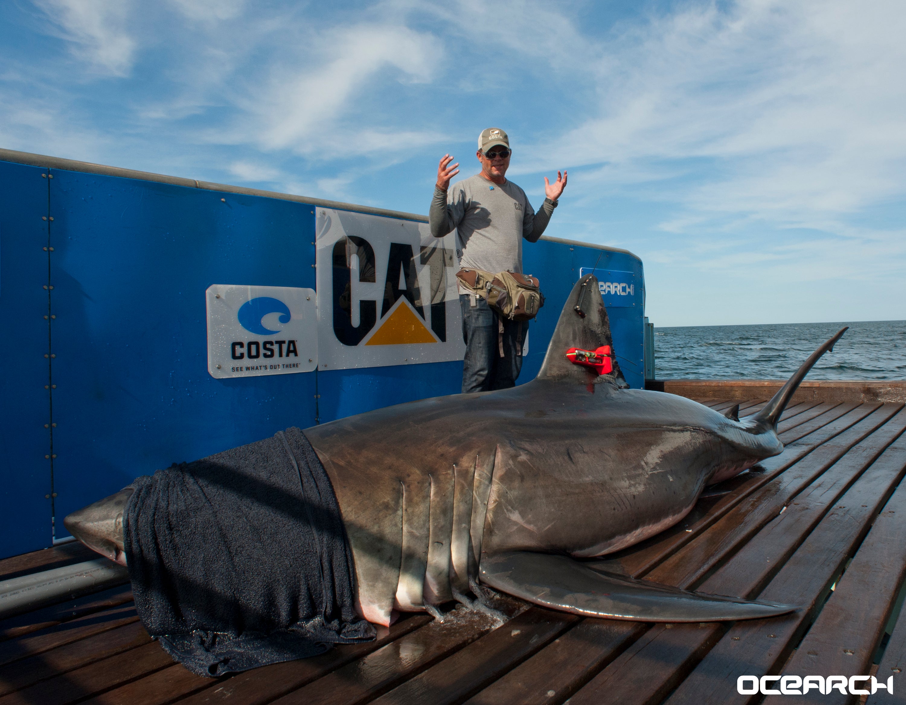 australian teenager fatally attacked by shark just 100 yards from popular beach report 1