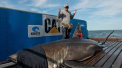 Australian Teenager Fatally Attacked by Shark Just 100 Yards from Popular Beach: Report