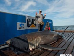 Australian Teenager Fatally Attacked by Shark Just 100 Yards from Popular Beach: Report
