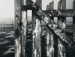 State Dept says G20 boycott tied to South Africa’s ‘government-sponsored discrimination’ against Afrikaners