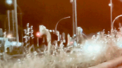 Fireworks Spark Mass Horse Stampede Through Rome, Injuring Several Soldiers